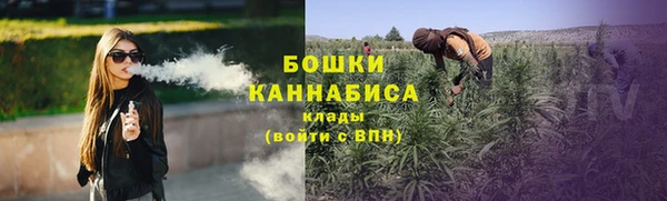 стаф Арсеньев