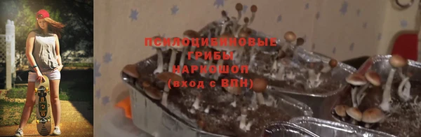 mdma Аркадак