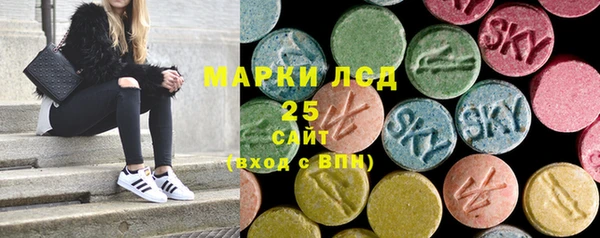стаф Арсеньев