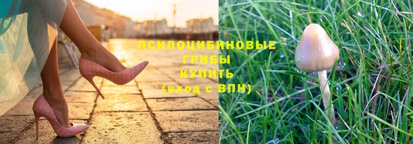 СК Алексин