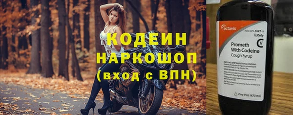 стаф Арсеньев