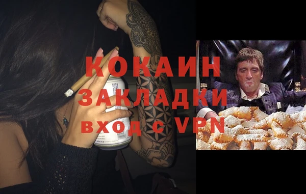 стаф Арсеньев